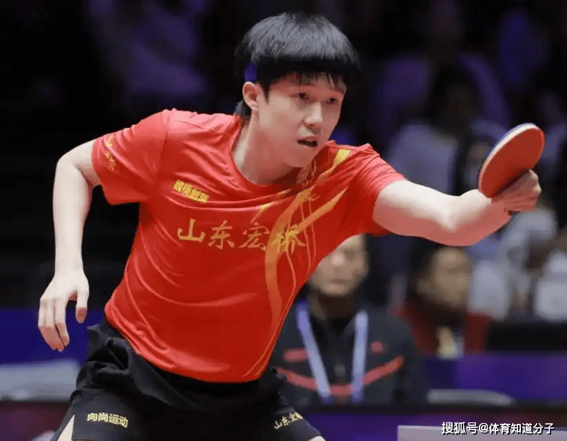 盟不仅能提 盟不仅能提