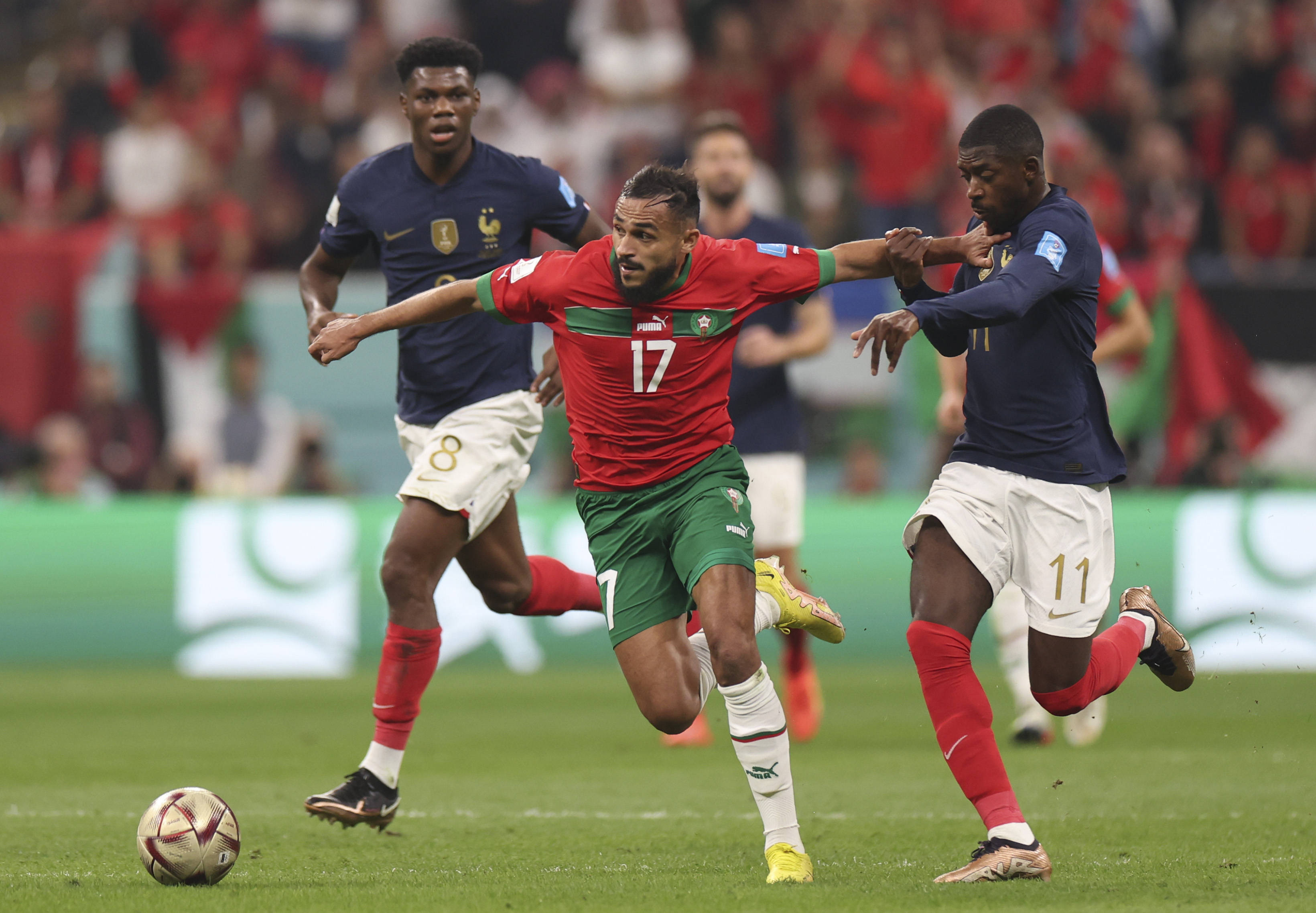 福基纳在比 福基纳在比